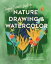 Peggy Dean's Guide to Nature Drawing and Watercolor