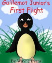 Guillemot Junior’s First Flight: A children's 