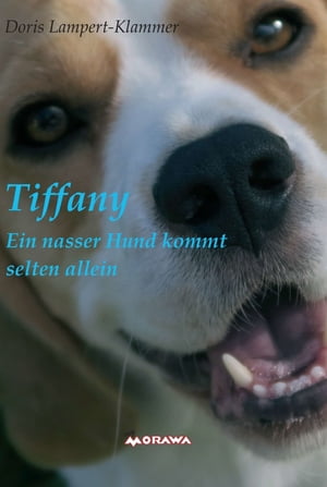 Tiffany, ein nasser Hund kommt selten allein【