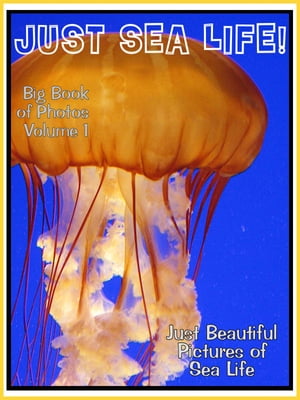 Just Sea Life Photos! Big Book of Marine Sealife Photographs & Pictures Vol. 1