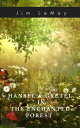 Hansel and Gretel in the Enchanted Forest【電