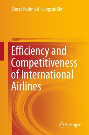 Efficiency and Competitiveness of International Airlines