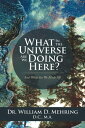 ŷKoboŻҽҥȥ㤨What in the Universe Are We Doing Here? And What Are We Made Of?Żҽҡ[ Dr. William D. Mehring D.C. M.A. ]פβǤʤ854ߤˤʤޤ