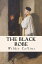 The Black Robe