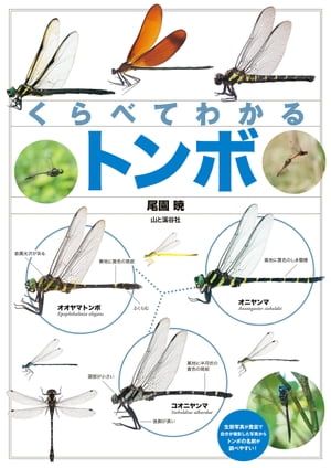 くらべてわかる トンボ【電子書籍】[ 尾園 暁 ]