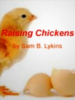 Raising Chickens