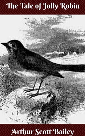ŷKoboŻҽҥȥ㤨The Tale of Jolly RobinŻҽҡ[ Arthur Scott Bailey ]פβǤʤ119ߤˤʤޤ