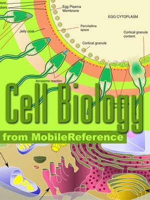 Cell Biology Study Guide: Prokaryotes, Archaea, Eukaryotes, Viruses, Cell Components, Respiration, Protein Biosynthesis, Cell Division, Cell Signaling & More. (Mobi Study Guides)