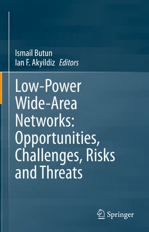 Low-Power Wide-Area Networks: Opportunities, Challenges, Risks and Threats