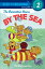 #3: The Berenstain Bears by the Seaβ