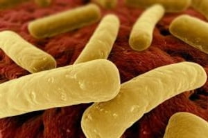 C. Difficile: Causes, Symptoms and Treatments