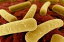 C. Difficile: Causes, Symptoms and Treatments