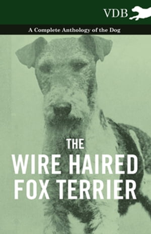 The Wire Haired Fox Terrier - A Complete Anthology of the Dog