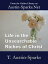 Life in the Unsearchable Riches of Christ