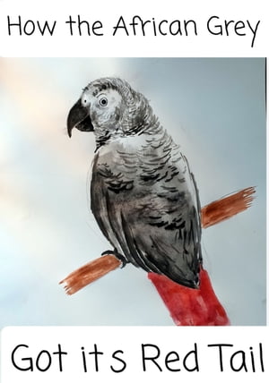 How the african Grey Got its Red Tail