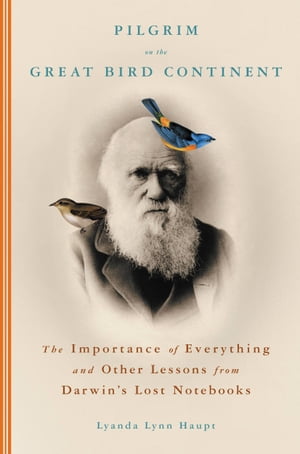 Pilgrim on the Great Bird Continent The Importance of Everything and Other Lessons from Darwin's Lost Notebooks