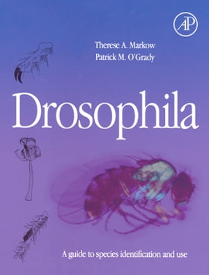 Drosophila