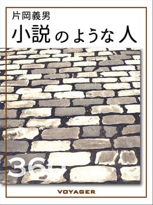 小説のような人