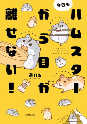 今日もハムスターから目が離せない!