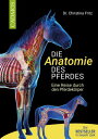 Die Anatomie des Pferdes Eine Reise durch den Pferdek?rper【電子書籍】[ Dr. Christina ...