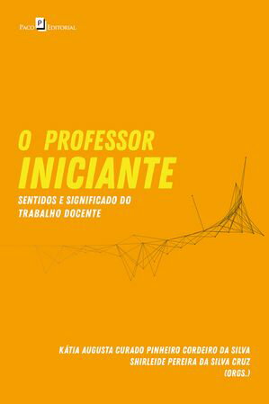 O Professor Iniciante