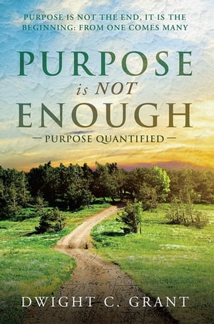 Purpose Is Not Enough Purpose Quantified