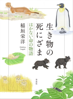 生き物の死にざま　はかない命の物語