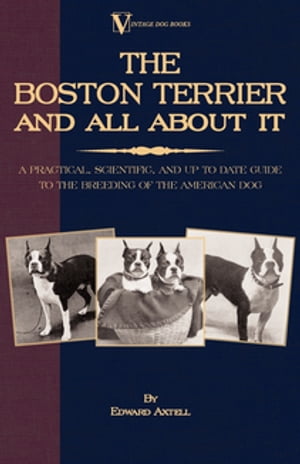 The Boston Terrier and All about It: A Practical, Scientific, and Up to Date Guide to the Breeding of the American Dog