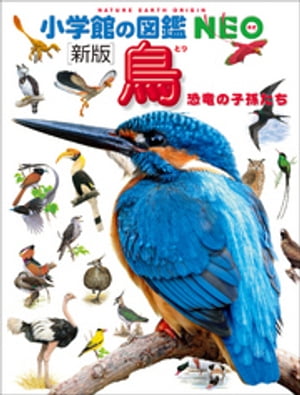 小学館の図鑑NEO〔新版〕鳥