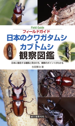 日本のクワガタムシ・カブトムシ観察図鑑