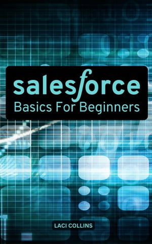 Salesforce Basics For Beginners