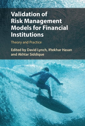 Validation of Risk Management Models for Financial Institutions Theory and Practice【電子書籍】