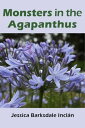 Monsters in the Agapanthus