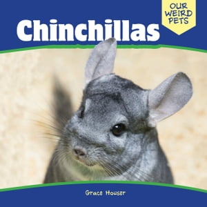 Chinchillas