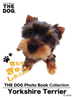 THE DOG Photo Book Collection@Yorkshire TerrierydqЁz[ artlist ]