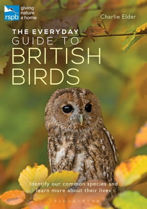 The Everyday Guide to British Birds Identify our common species and learn more about their lives