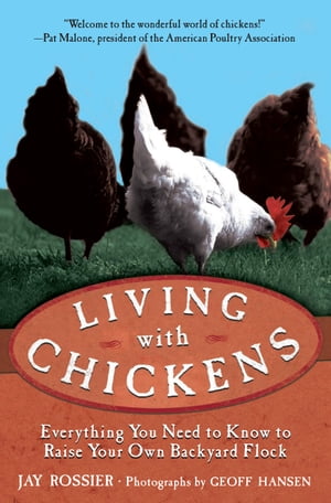 Living with Chickens