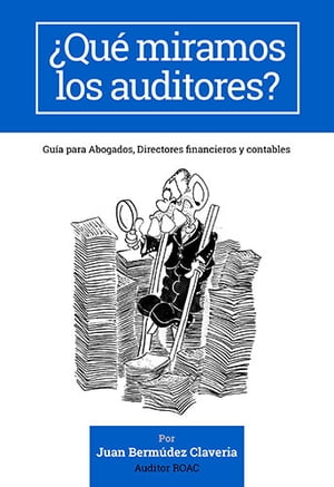 ¿Qué miramos los auditores?