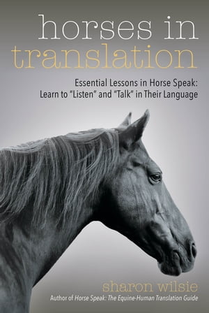 Horses in Translation