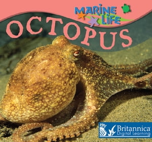 Octopus【電子書籍】[ Lynn M. Stone ]