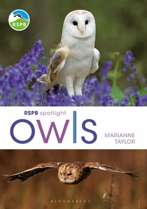 RSPB Spotlight Owls【電子書籍】[ Ms Marianne Taylor ]