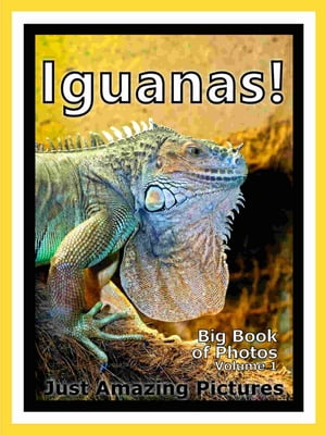 Just Iguana Lizard Photos! Big Book of Photographs & Pictures of Iguana Lizards, Vol. 1