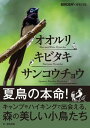 オオルリ キビタキ サンコウチョウ【電子書籍】 BIRDER編集部