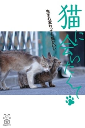 猫に会いたくて　生まれ変わっても猫がいい