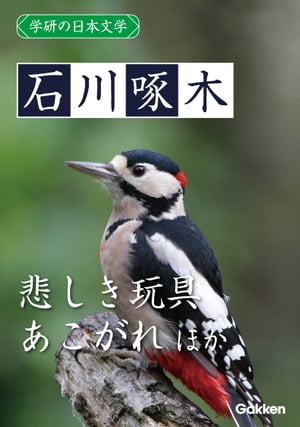 学研の日本文学 石川啄木