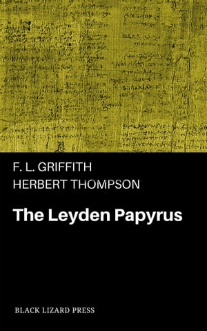 The Leyden Papyrus