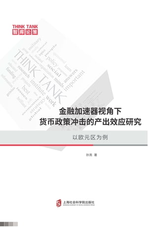 金融加速器视角下货币政策冲击的产出效应研究：以欧元区为例