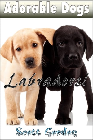 Adorable Dogs: Labradors!