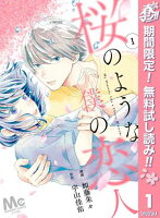 【分冊版】桜のような僕の恋人【期間限定無料】 1