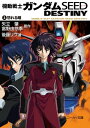 機動戦士ガンダムSEED　DESTINY　1　怒れる瞳【電子書籍】[ 矢立　肇 ]